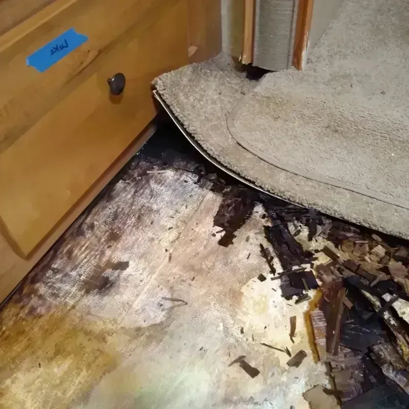 Wood Floor Water Damage in Breckenridge, CO